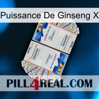 Ginseng Power X kamagra1